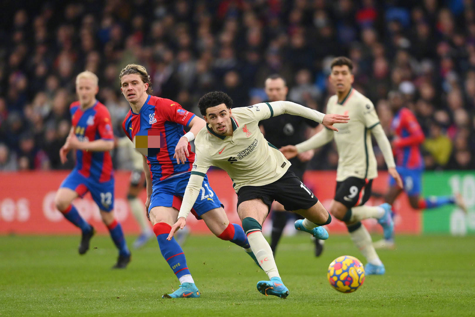 却也面临极 却也面临极